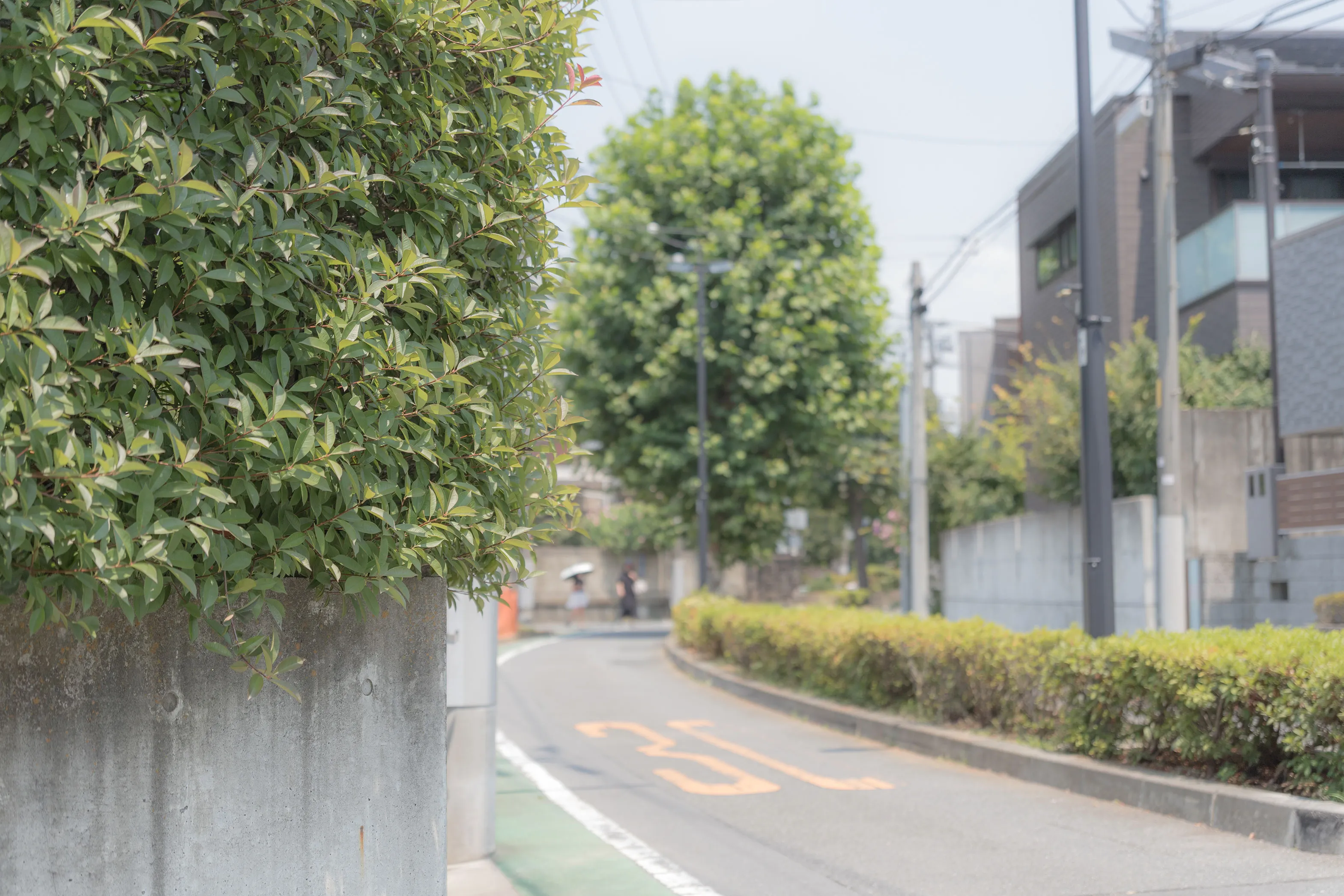 一戸建て・中古マンション